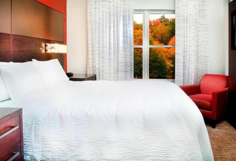 套房, Residence Inn By Marriott Albany Washington Avenue