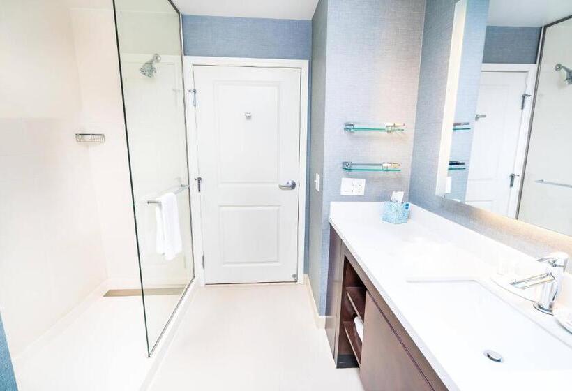 标准工作室, Residence Inn By Marriott Albany Washington Avenue