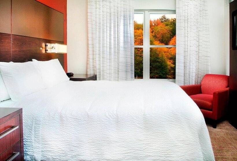 套房, Residence Inn By Marriott Albany Washington Avenue