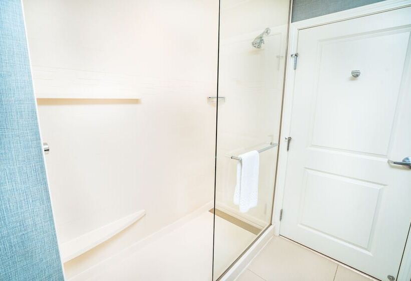 标准工作室, Residence Inn By Marriott Albany Washington Avenue