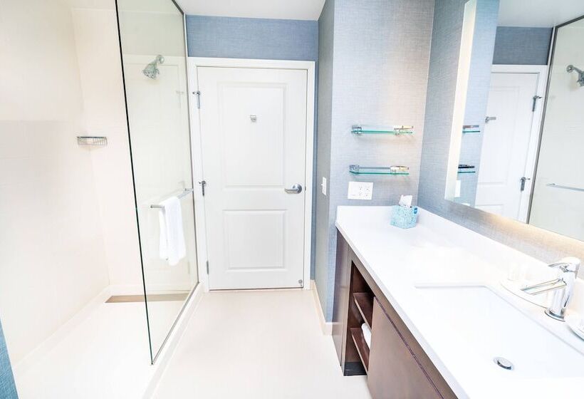 标准工作室, Residence Inn By Marriott Albany Washington Avenue