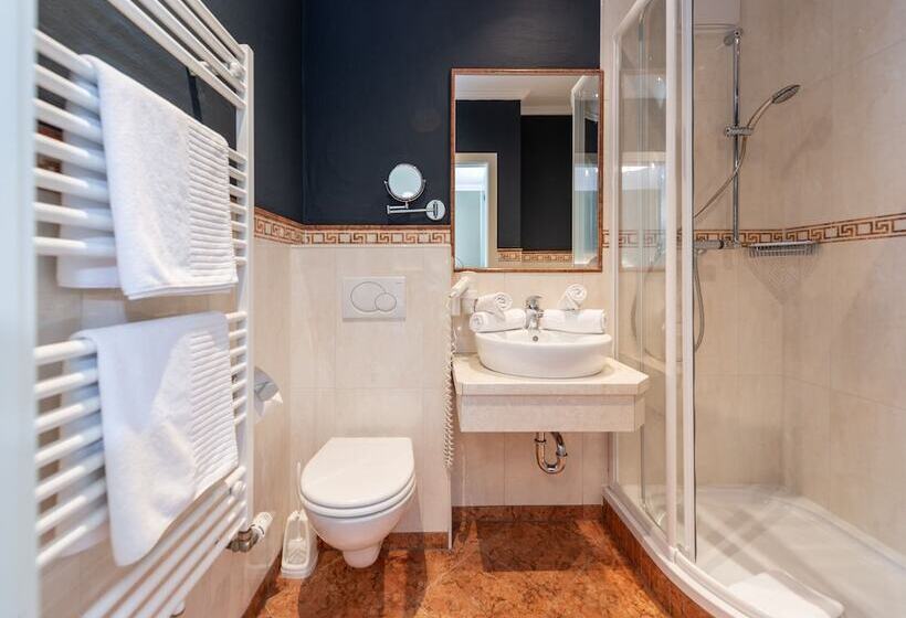 اتاق اکونومی, Erzherzog Johann Alpin Style Hotel   Adults Only