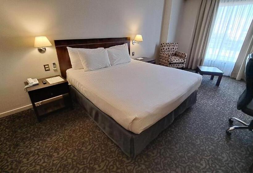 带大床的标准间, Diego De Almagro Iquique