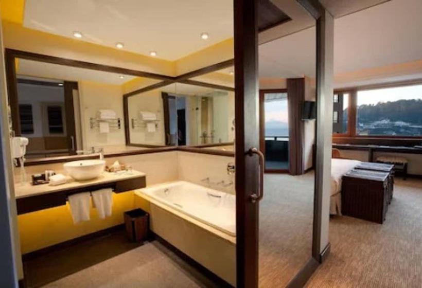 غرفة قياسية, Dreams De Los Volcanes   Puerto Varas