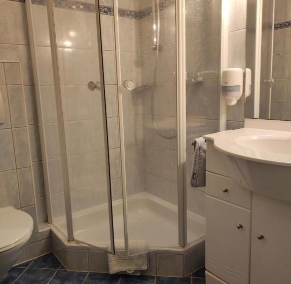 חדר אקונומי יחיד, Gasthof Goldener Stern