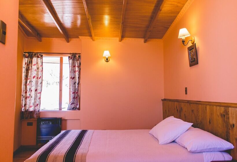 高级单人间, Iorana Tolache