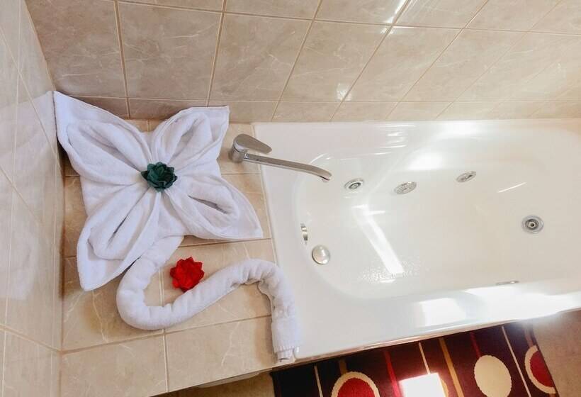 套房, Iorana Tolache