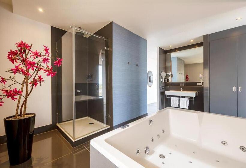 豪华套房, Mercure Hotel Amersfoort Centre