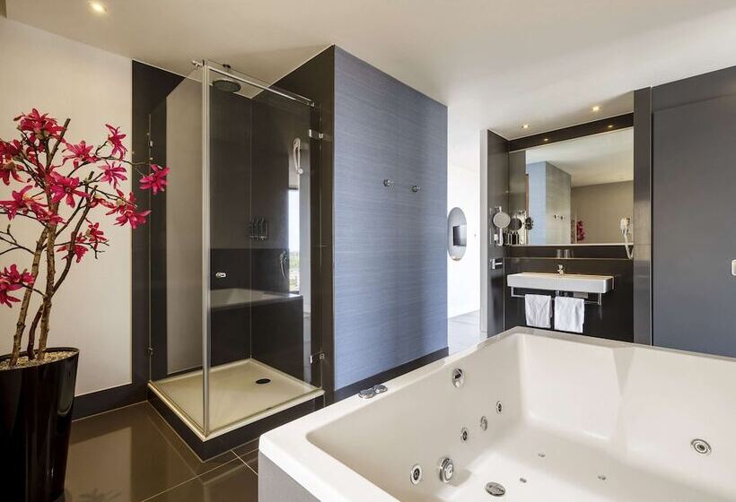 جناح ديلوكس, Mercure Hotel Amersfoort Centre