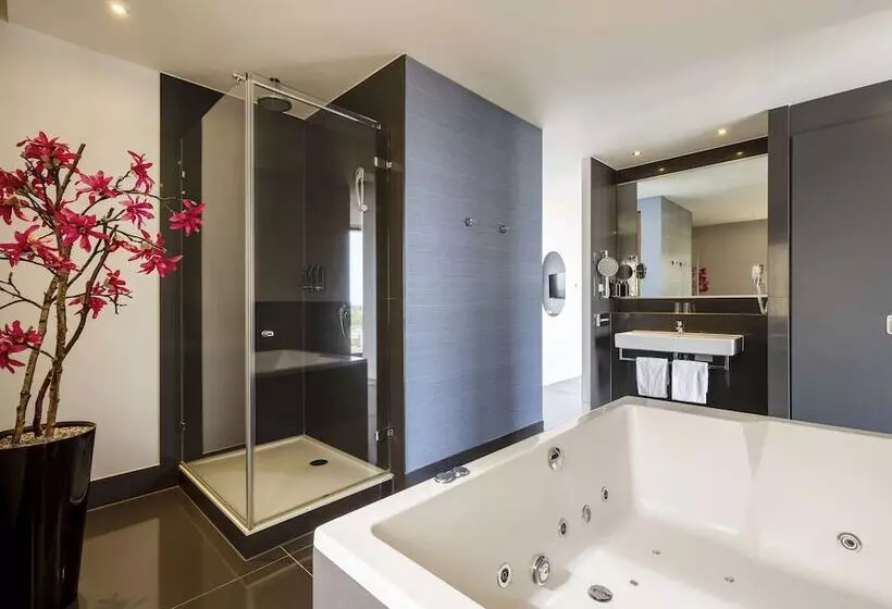 سوییت لوکس, Mercure Hotel Amersfoort Centre