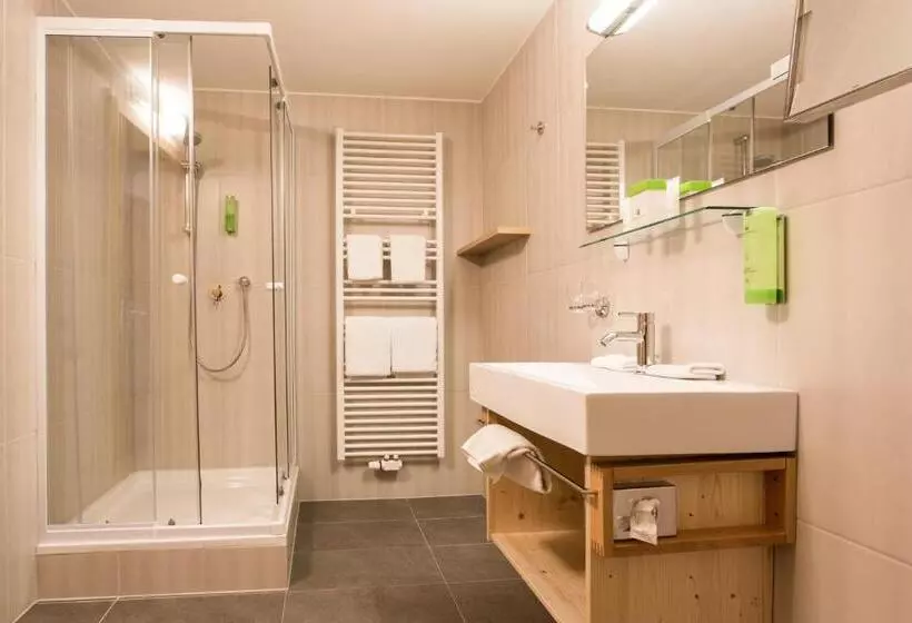 Economy-huone, Ritzlerhof   Adults Only