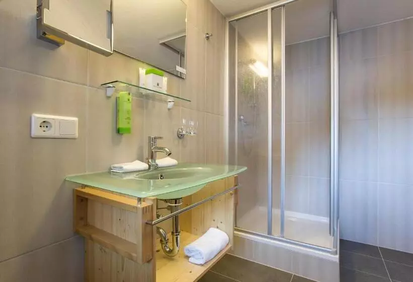 Economy-huone, Ritzlerhof Adults Only