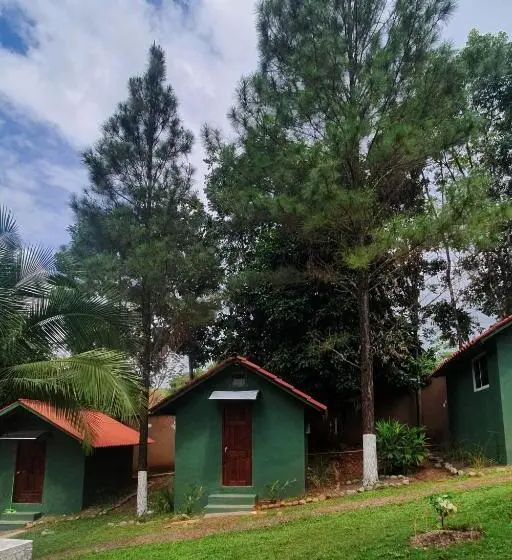 デラックスルーム, Los Pinos De Torio