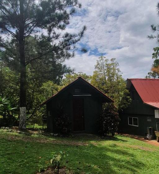 디럭스 룸, Los Pinos De Torio