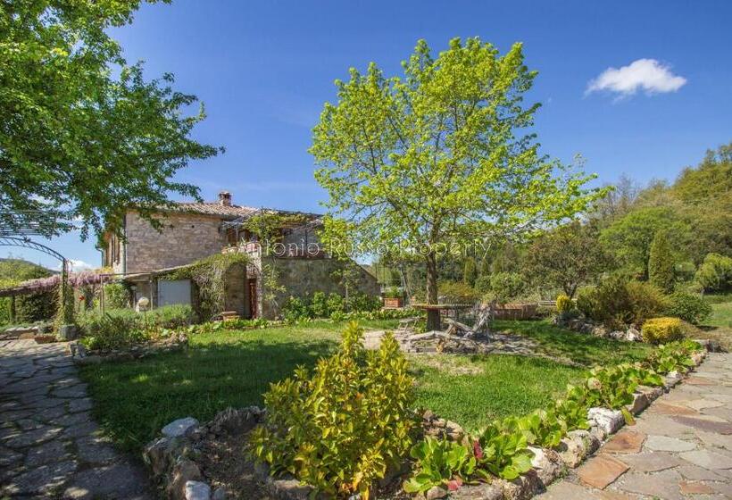 إستوديو قياسى, Ca Novae   Tuscany Farmhouse