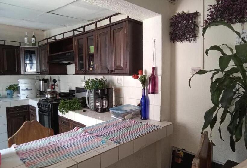 اتاق خانوادگی, Huellas Hostal Antigua