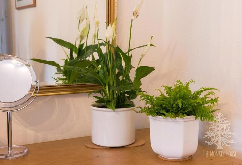 חדר סטנדרט עם מיטת קינג, The Monkey House B&b