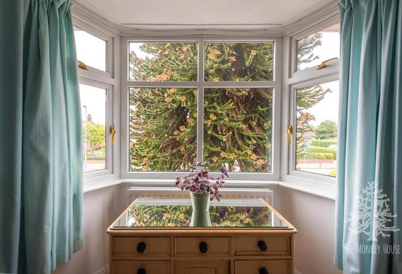 חדר סטנדרט, The Monkey House B&b