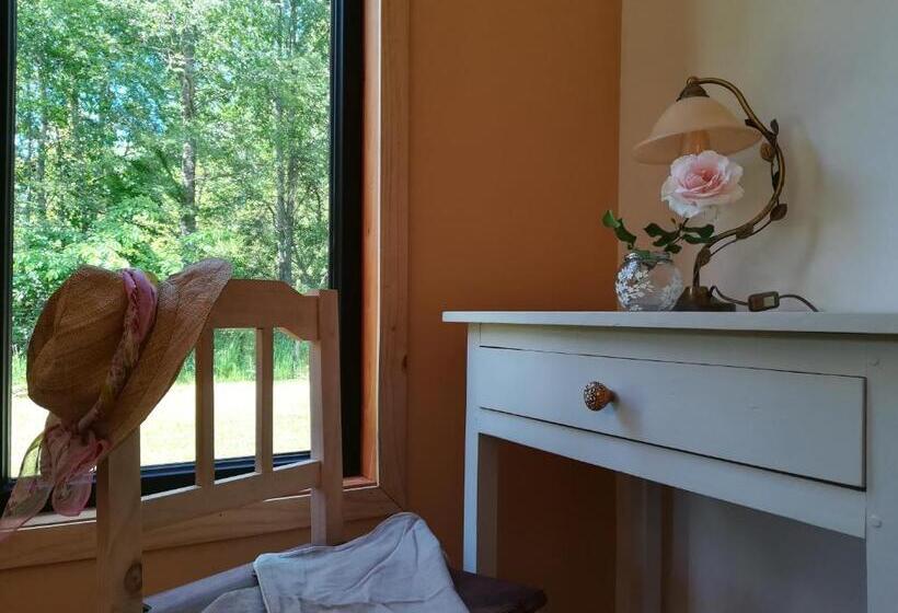 اتاق استاندارد, Entre Nous