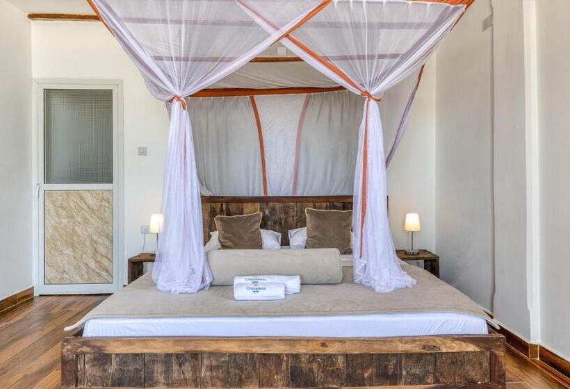 豪华洋房, Cinnamon