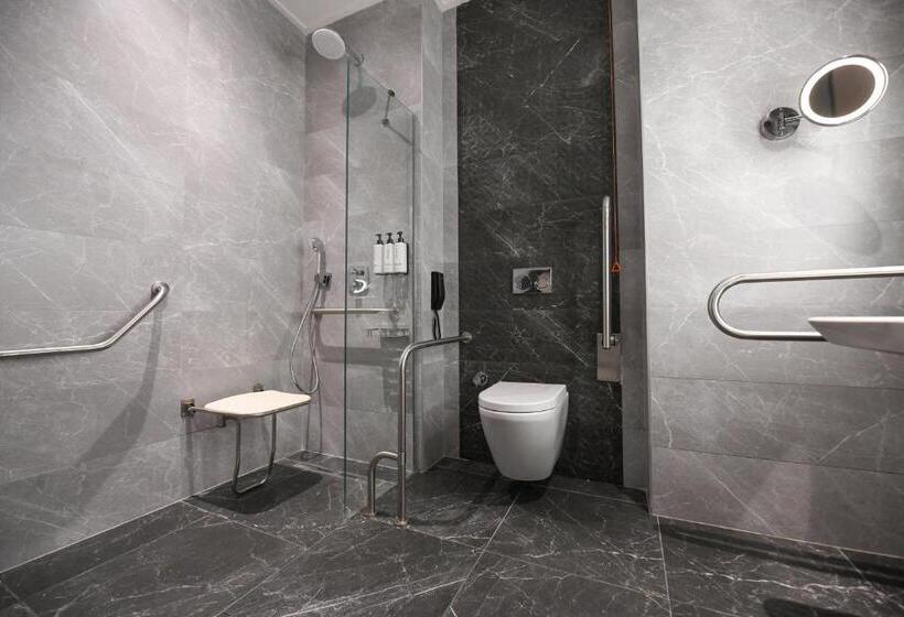 اتاق استاندارد برای معلولان, Crowne Plaza Ankara, An Ihg