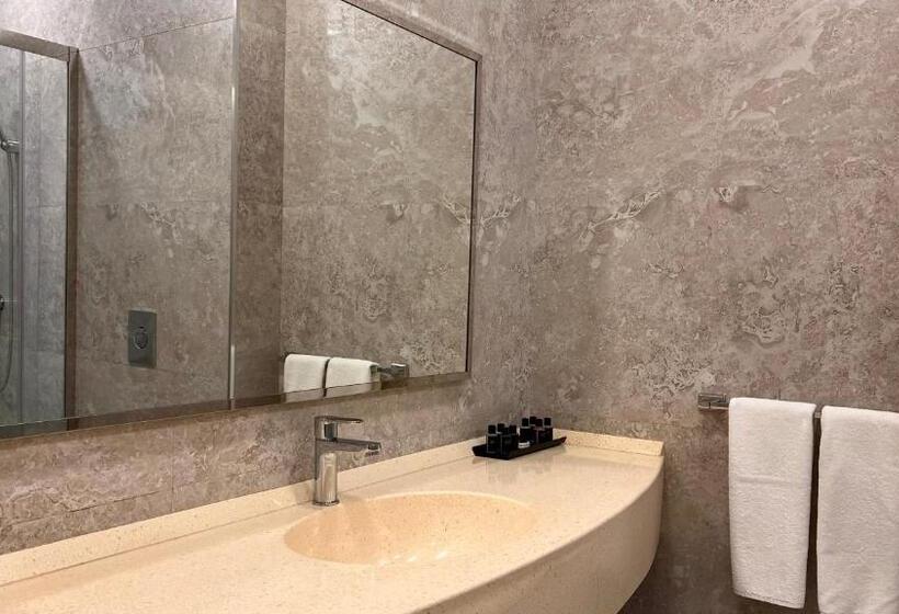 اتاق استاندارد با تخت بزرگ, Ilk Inn