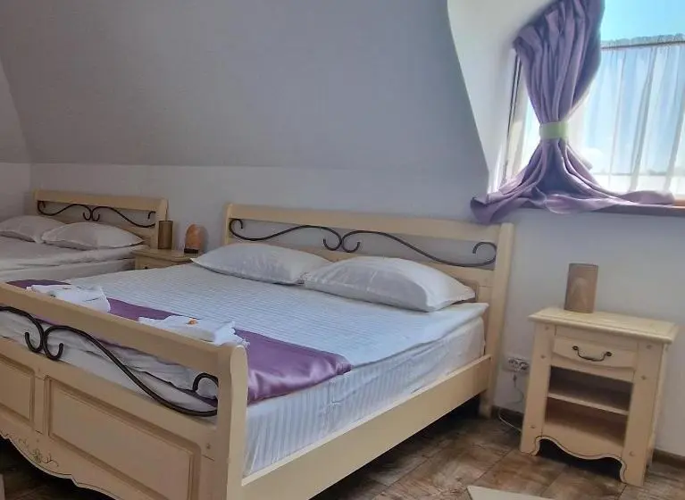 キングサイズベッドのスタンダードルーム, Provence Suceava