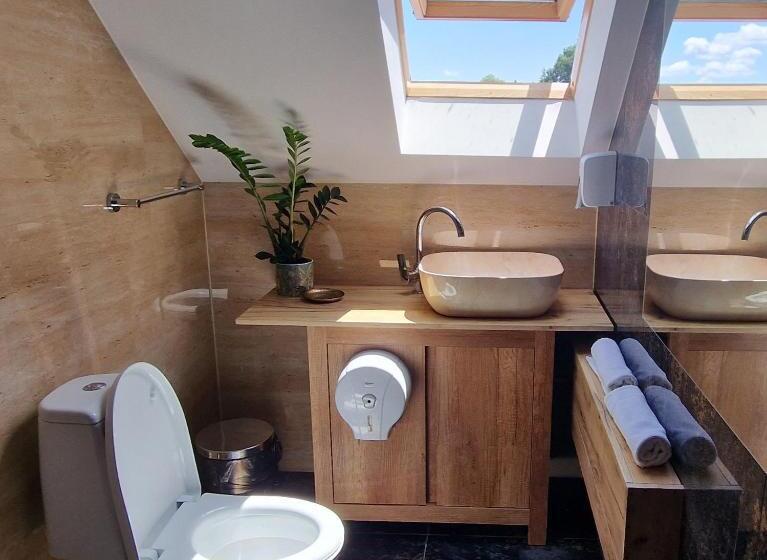 غرفة قياسية سرير كينج, Provence Suceava