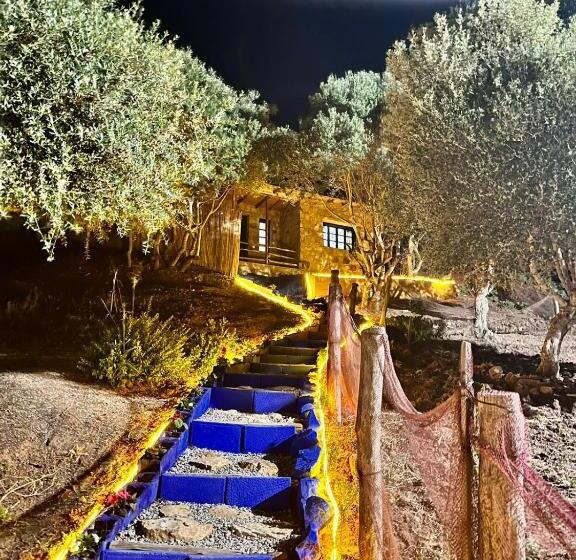 חדר סטנדרט נוף להרים, Dmina House