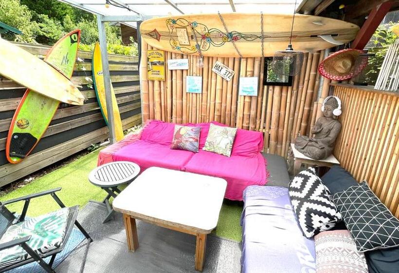 공동 객실, Spotsleeping