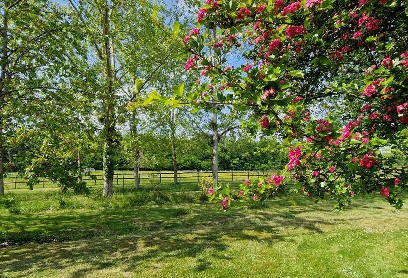 スーペリアースイート, Chambre D Hôtes