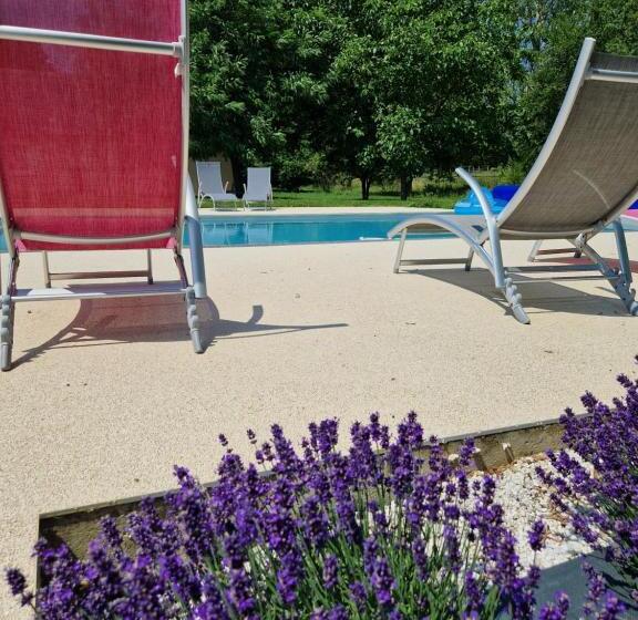 スーペリアースイート, Chambre D Hôtes