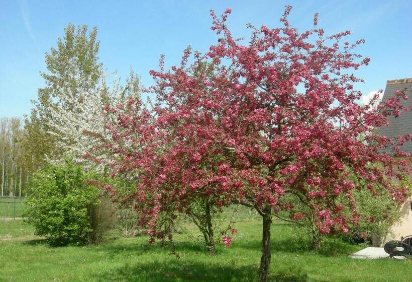 プールビュースイート, Chambre D Hôtes