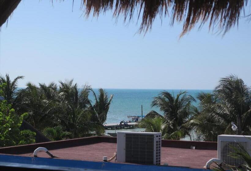 اتاق استاندارد با تخت بزرگ, Holmar