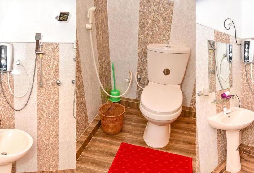 Deluxe Rum, Sayare Inn