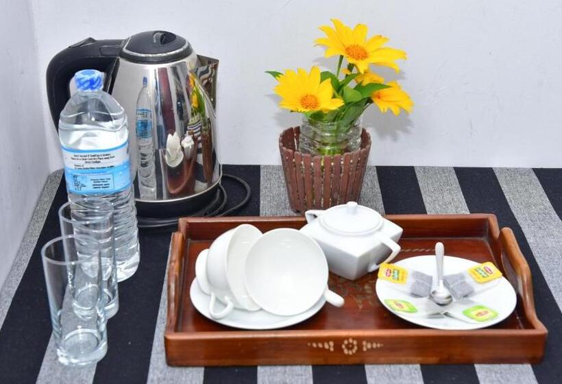 Deluxe Rum, Sayare Inn