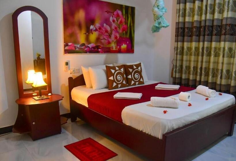 Deluxe Rum, Sayare Inn