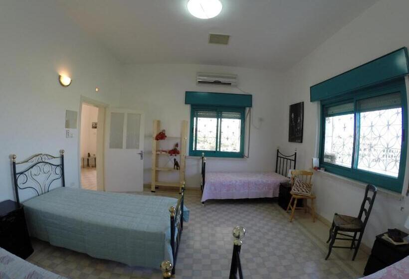 تختخواب در اتاق مشترک, Auberg Inn Guesthouse