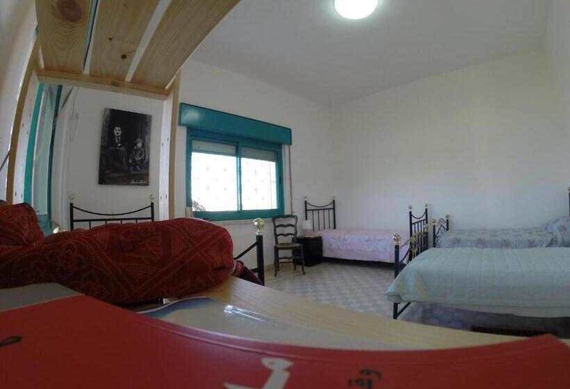 تختخواب در اتاق مشترک, Auberg Inn Guesthouse