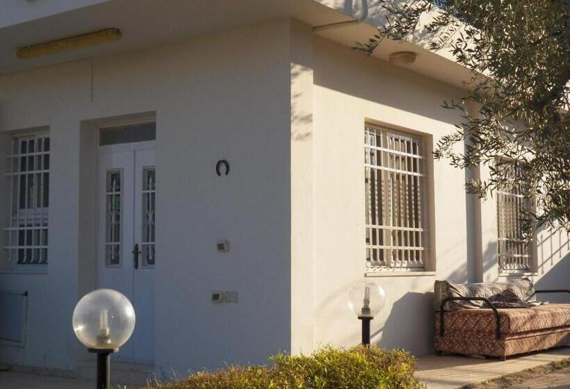 استودیوی استاندارد اینتریور, Auberg Inn Guesthouse