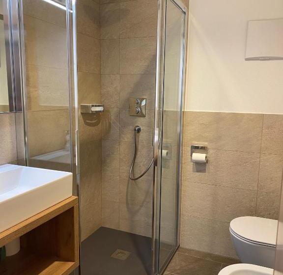 带1个卧室带观景的公寓, Ciasa De Lenz