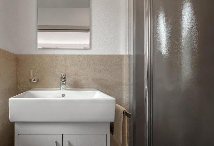 带1个卧室带观景的公寓, Ciasa De Lenz