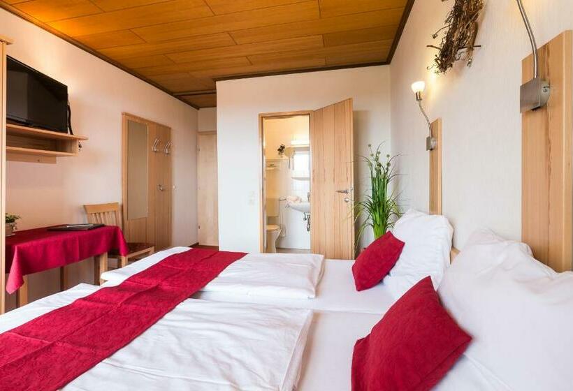 Номер Стандарт с Балконом, Haus Martin Schneeberger