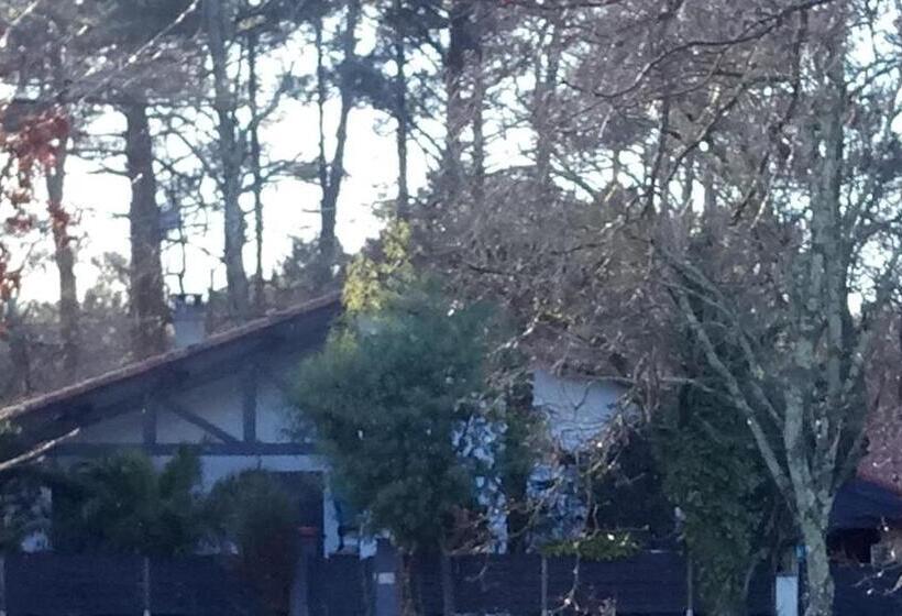 اتاق استاندارد اینتریور, Villa Zaphira