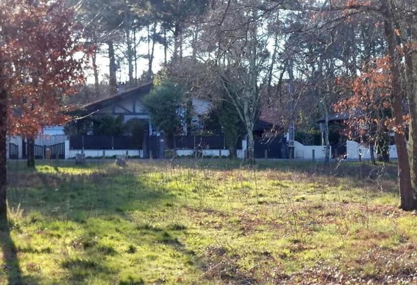 اتاق استاندارد اینتریور, Villa Zaphira