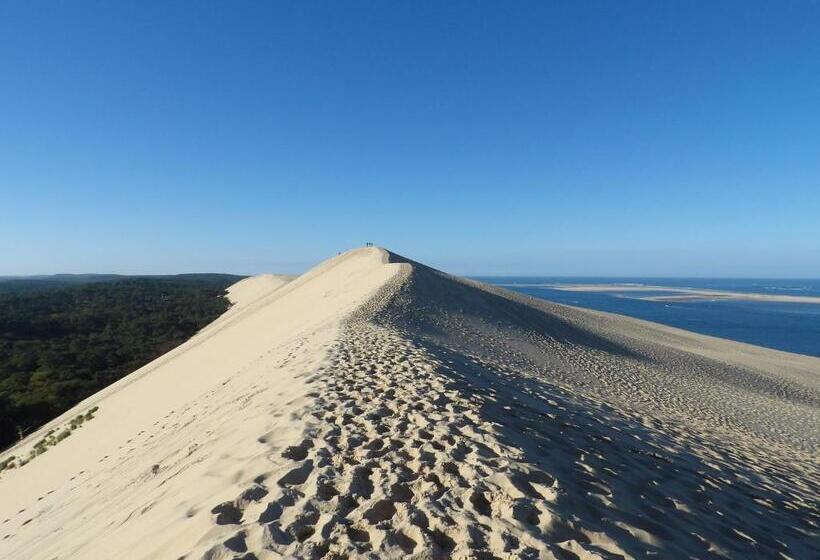 اتاق استاندارد اینتریور, Villa Zaphira