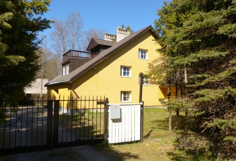 اتاق استاندارد سه نفره, Viva Pirita Hostel