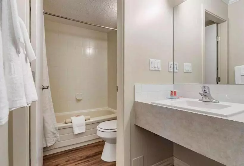 2ダブルベッドのスタンダードルーム, Econo Lodge Inn & Suites