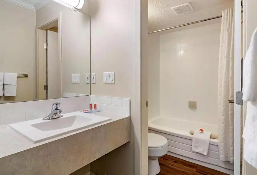 スタンダードルーム, Econo Lodge Inn & Suites