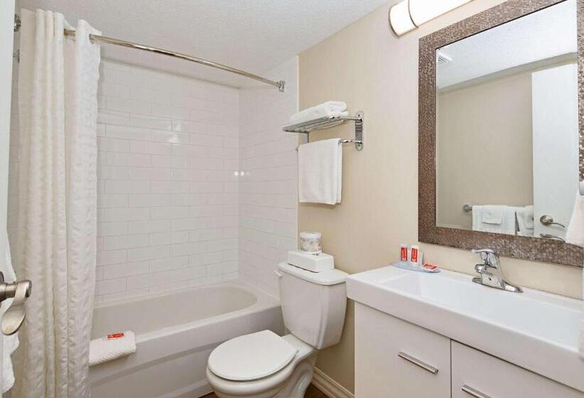 스탠다드 룸, Econo Lodge Inn & Suites